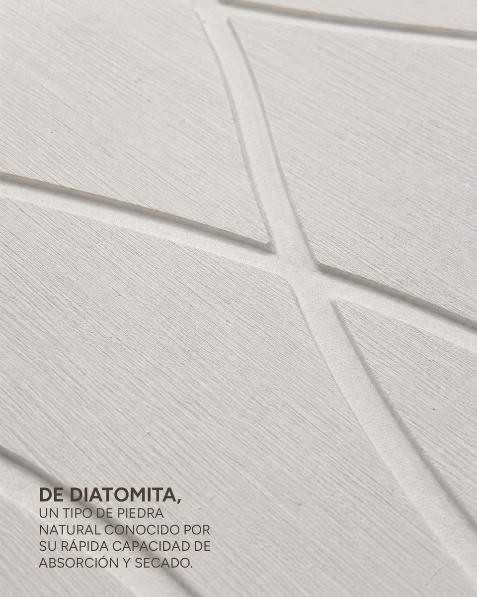Placa Alfombra Absorbente Diatomic