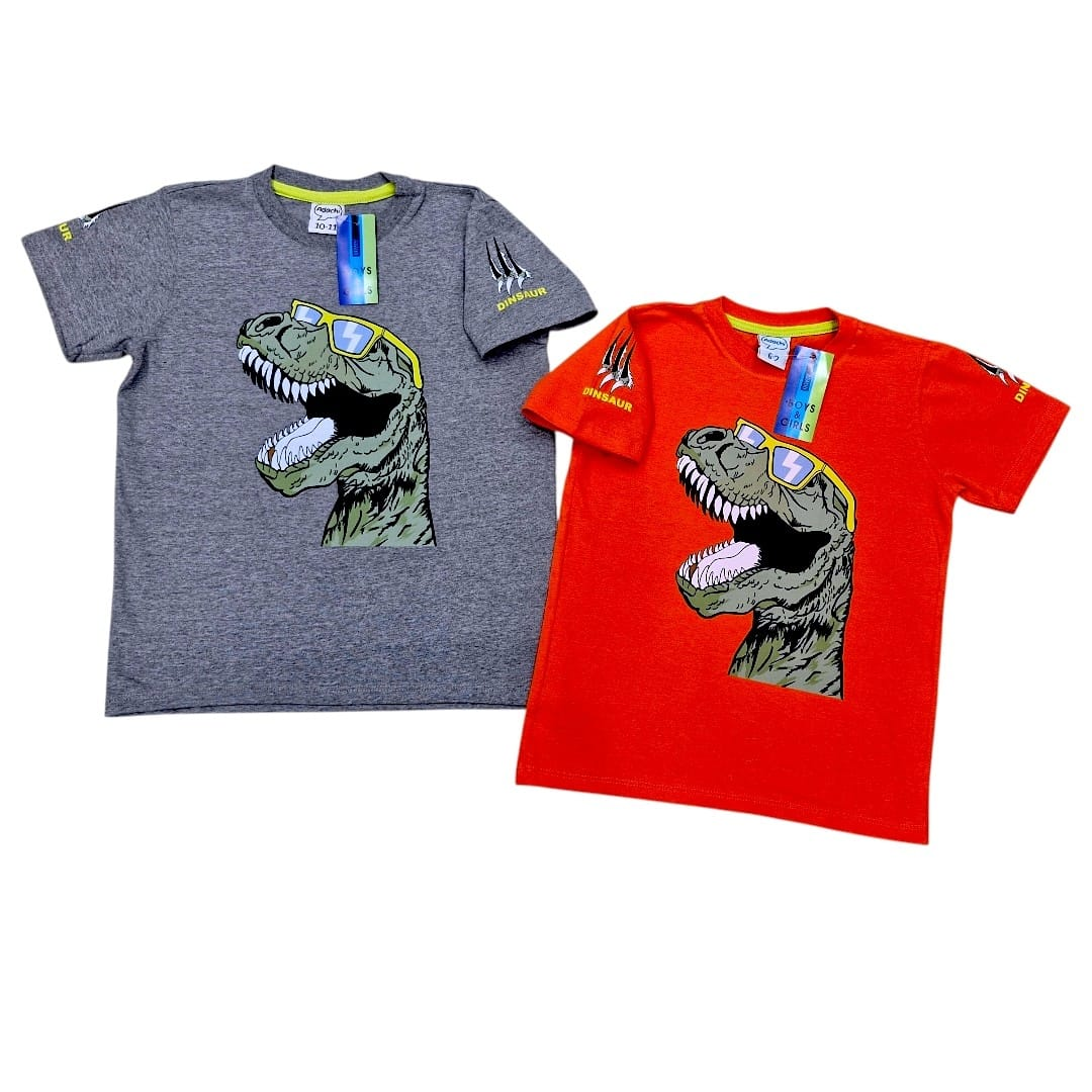 Remera Varon Dinosaur, vista 2