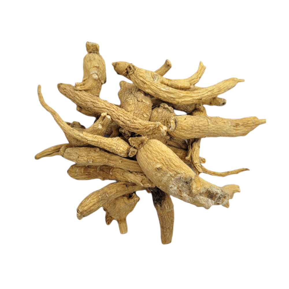 Ginseng Raiz 