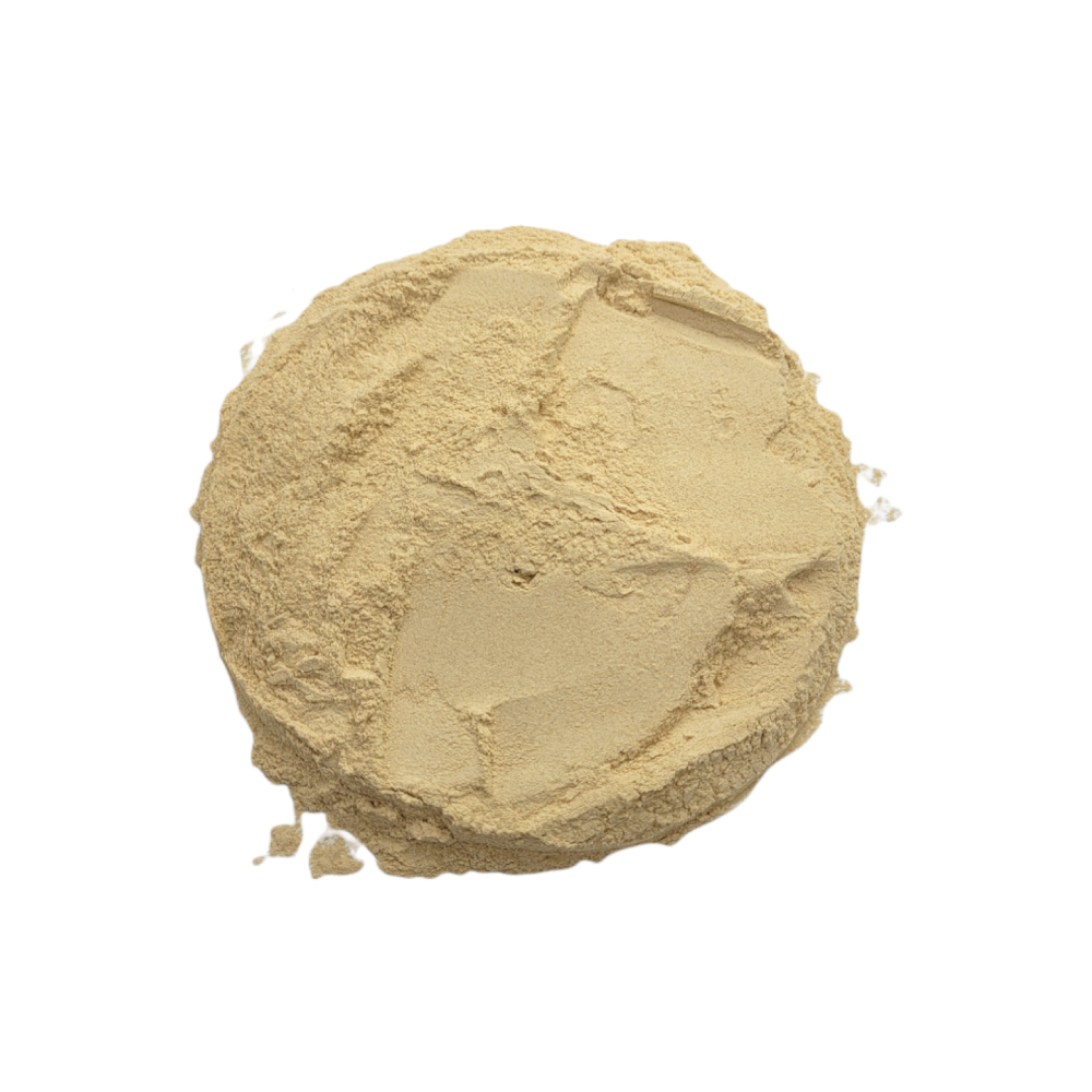 Ginseng (Panax ginseng) en Polvo (50g) – La Raíz de la Inmortalidad