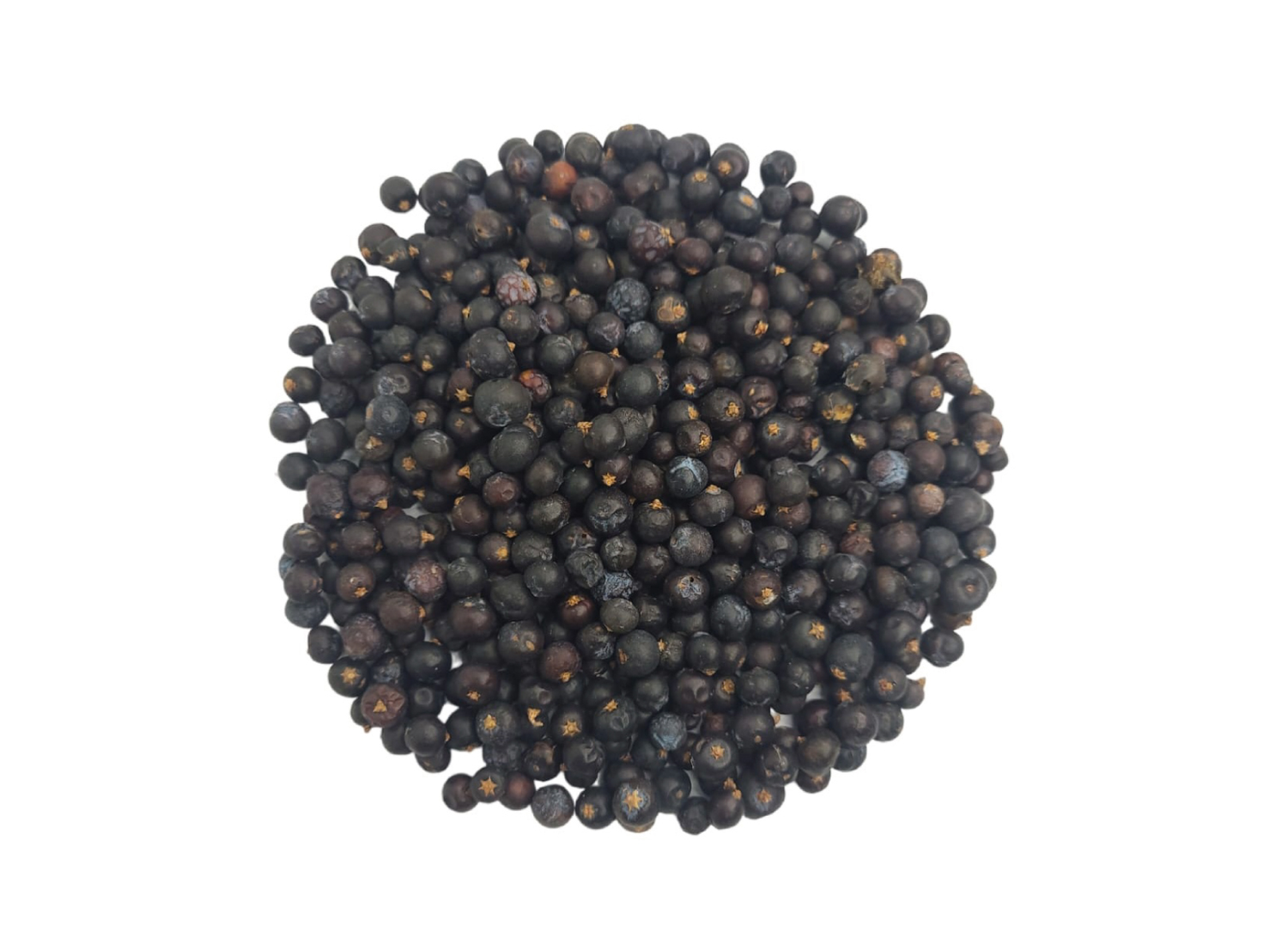 Enebro Bayas Azul PREMIUM x kg