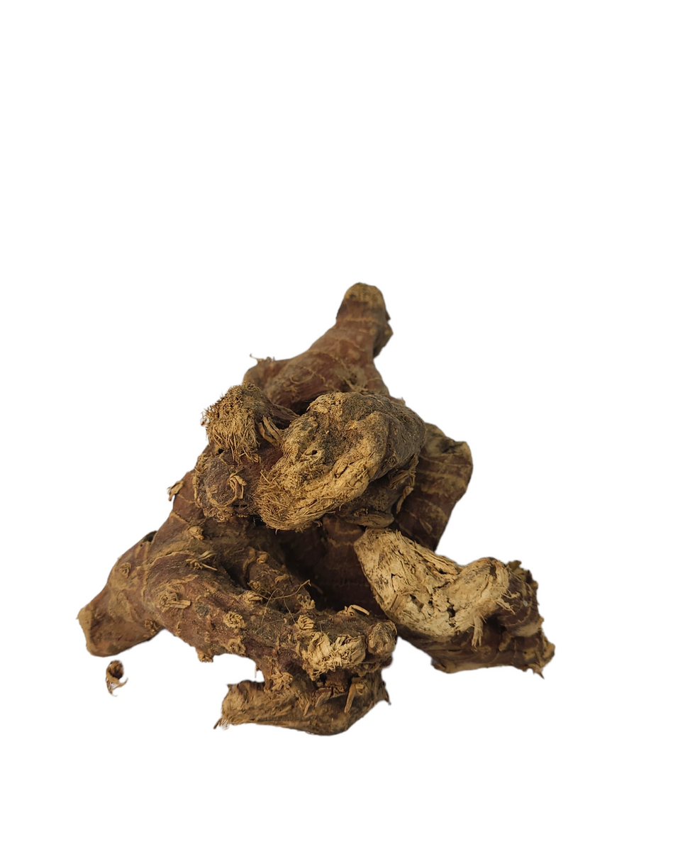 Galanga x 1 kg