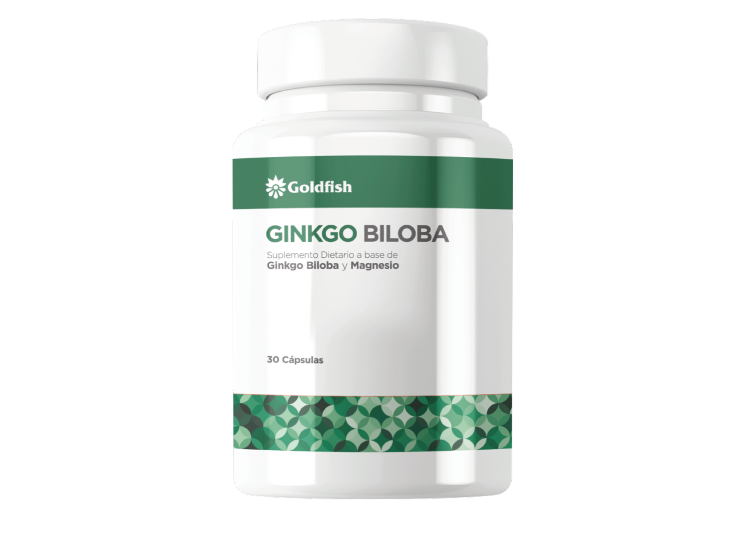 GINKGO BILOBA + MAGNESIO