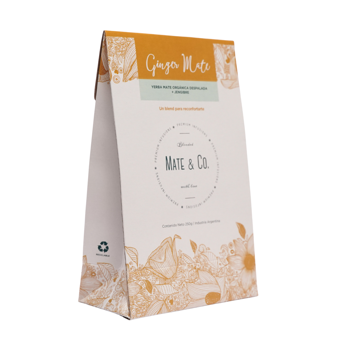 GINGER MATE YERBA COMPUESTA REPUESTO X 250 G MATE & CO