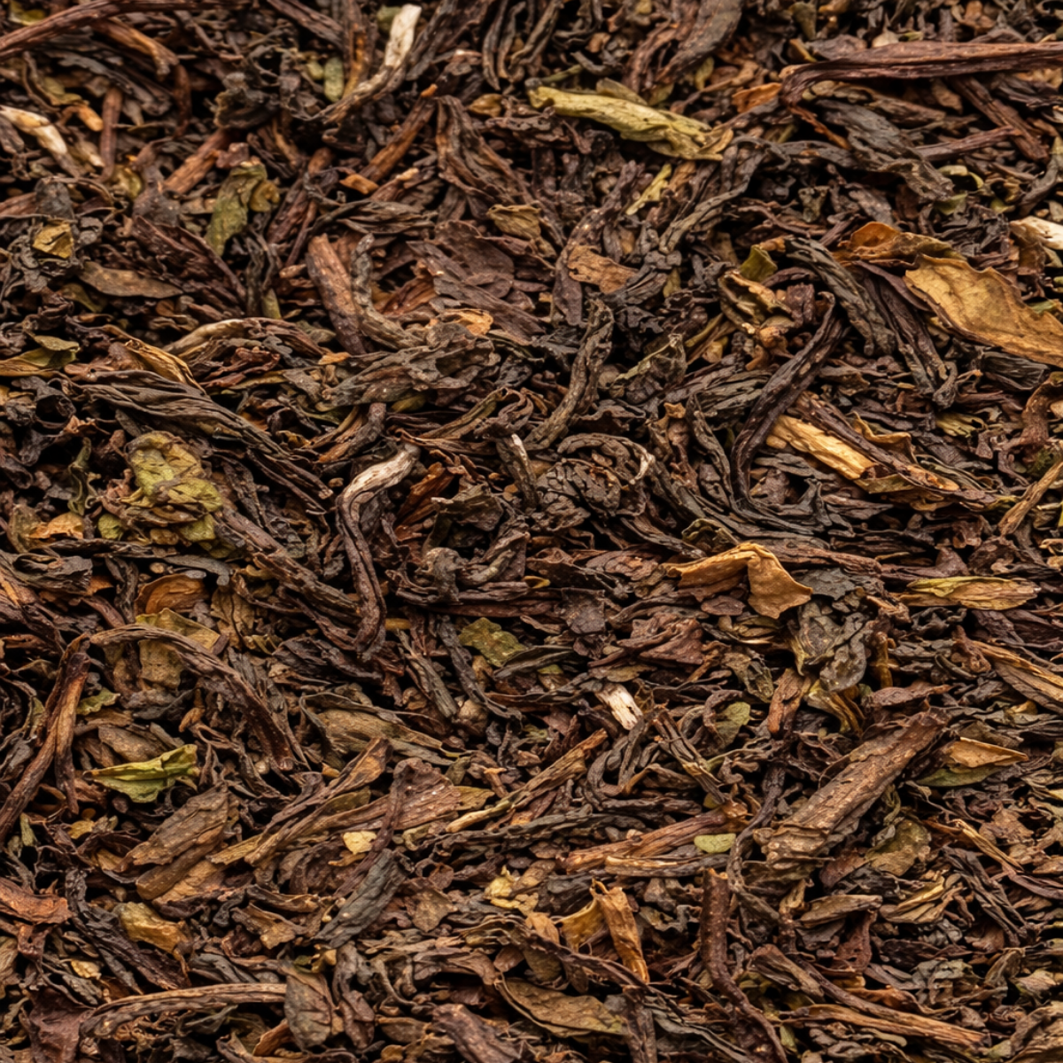 N. 51 - TE NEGRO DARJEELING
