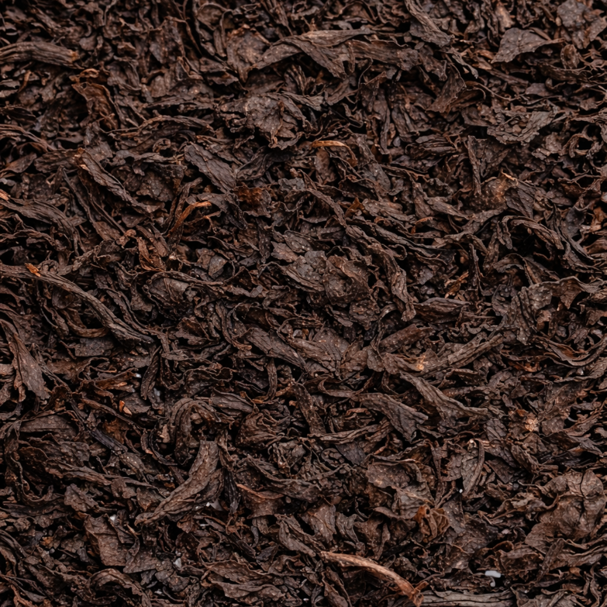 N. 39 - TE NEGRO ARGENTINO ORGANICO
