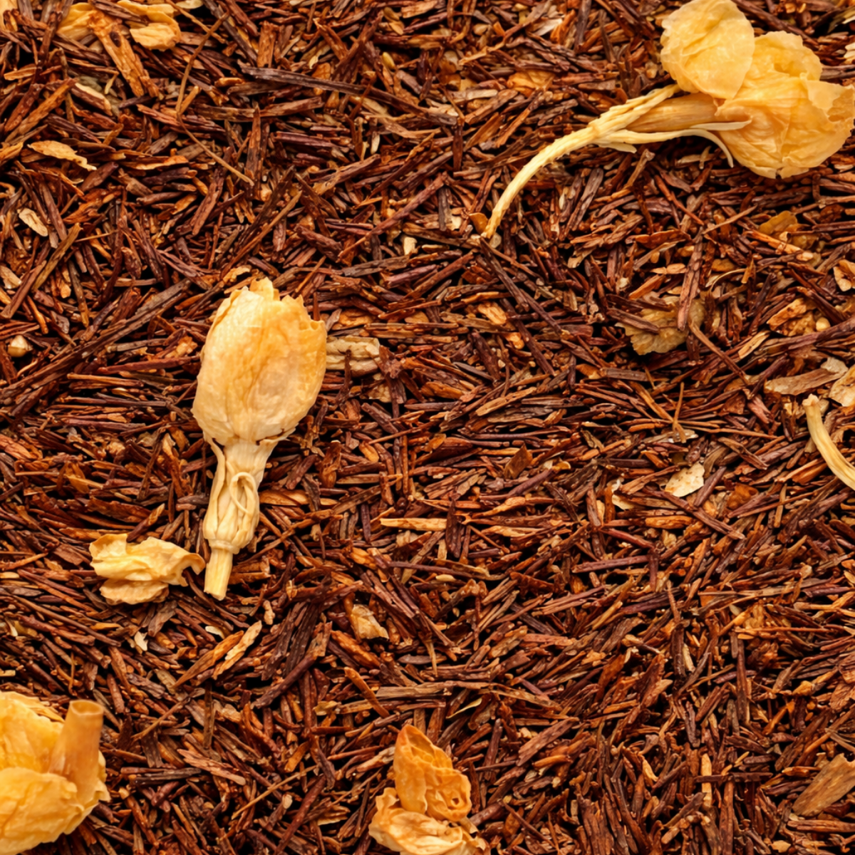 N. 32 - ROOIBOS CARAMEL
