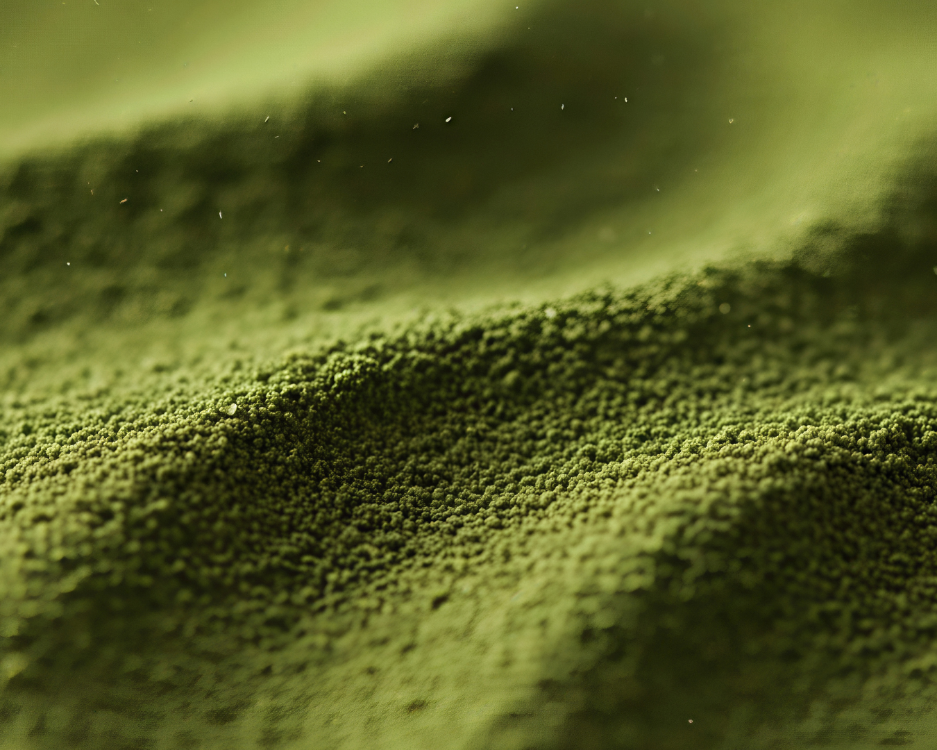 MATCHA & ADAPTÓGENOS