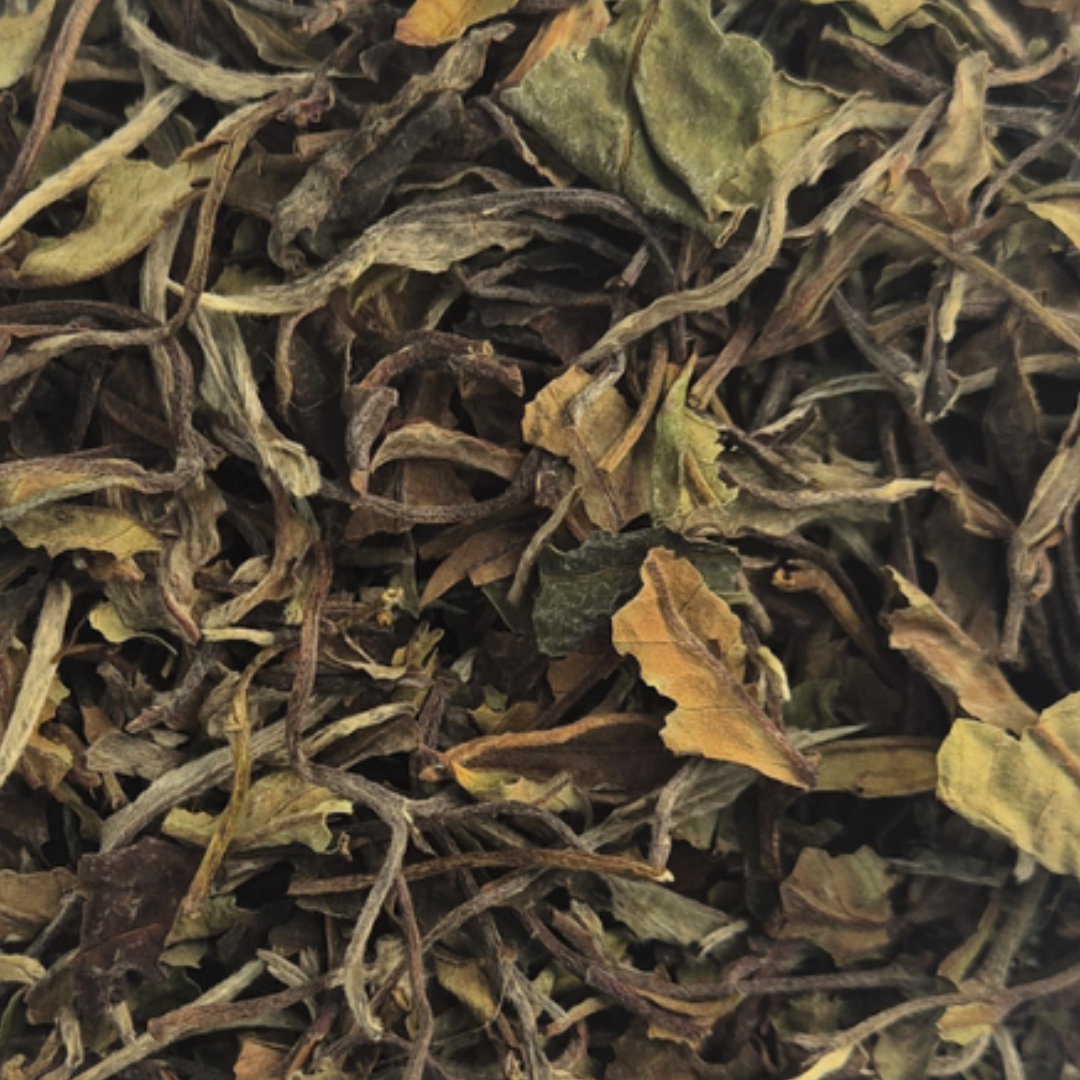 N. 26 - PAI MUTAN EDICION LIMITADA - BROTE + HOJA