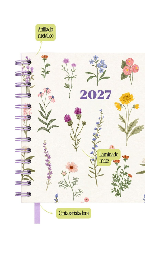Set Agendas Cuadradas Diarias 2027