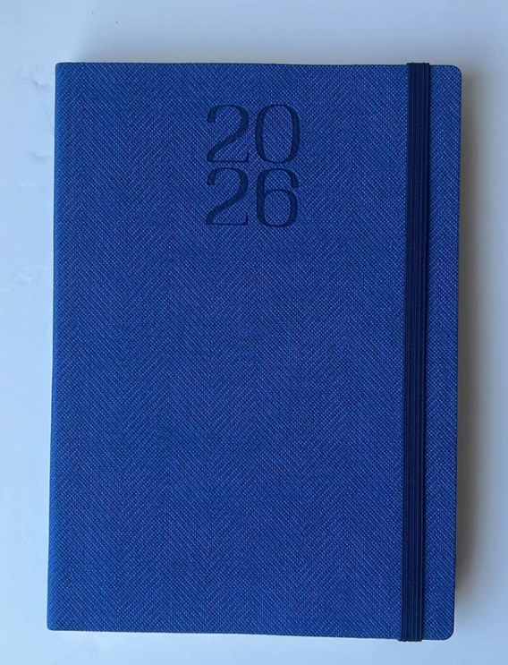 AGENDA 2026 DIARIA 14X20 BARD AZUL