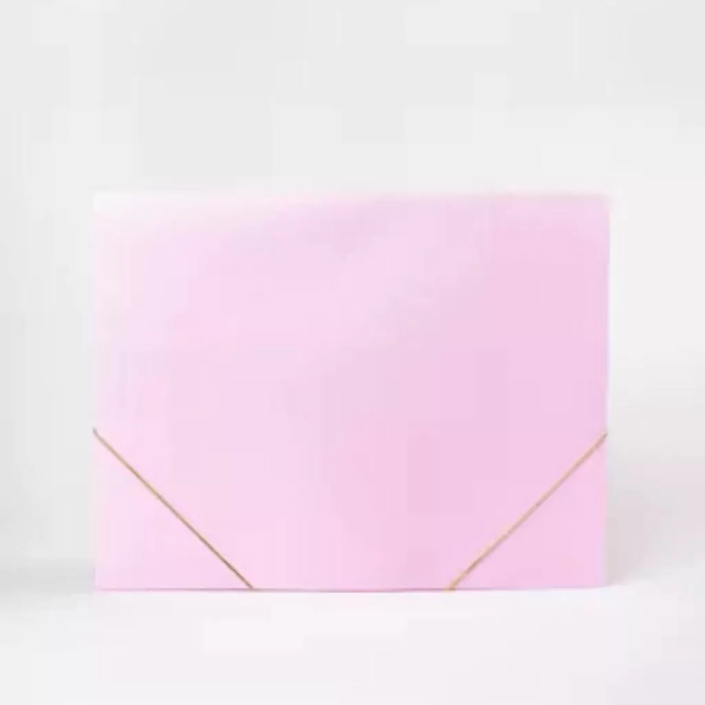 CARPETA 3 SOLAPAS A3 FW PASTEL PP 999158