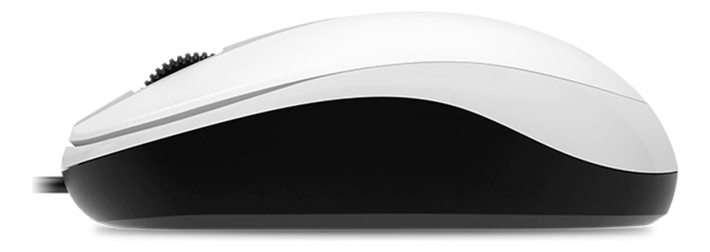 MOUSE GENIUS DX-120 USB WHITE