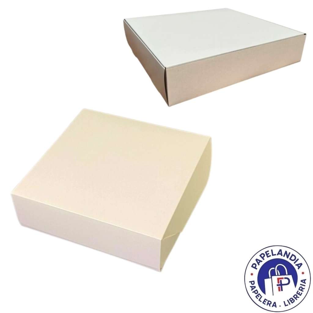 CAJA CATERING 28X26X6CM XU