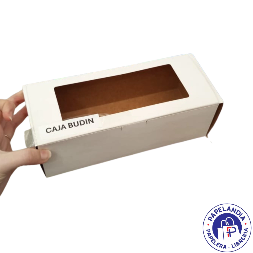 CAJA BUDIN 22.5X9.5X7CM