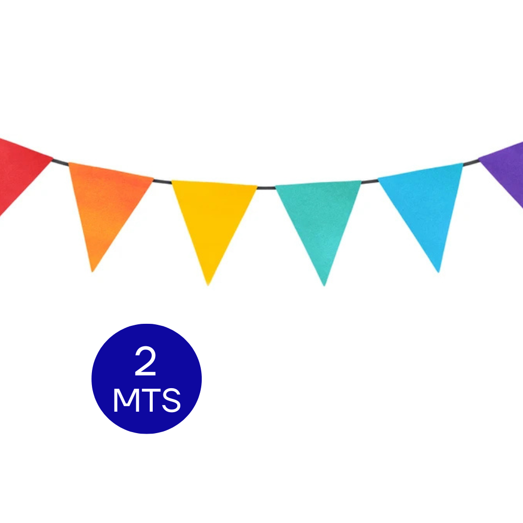 BANDERIN TRIANGULAR LISO ARMADO IMAGEN PARTY COLOR SURTIDO 2MTS