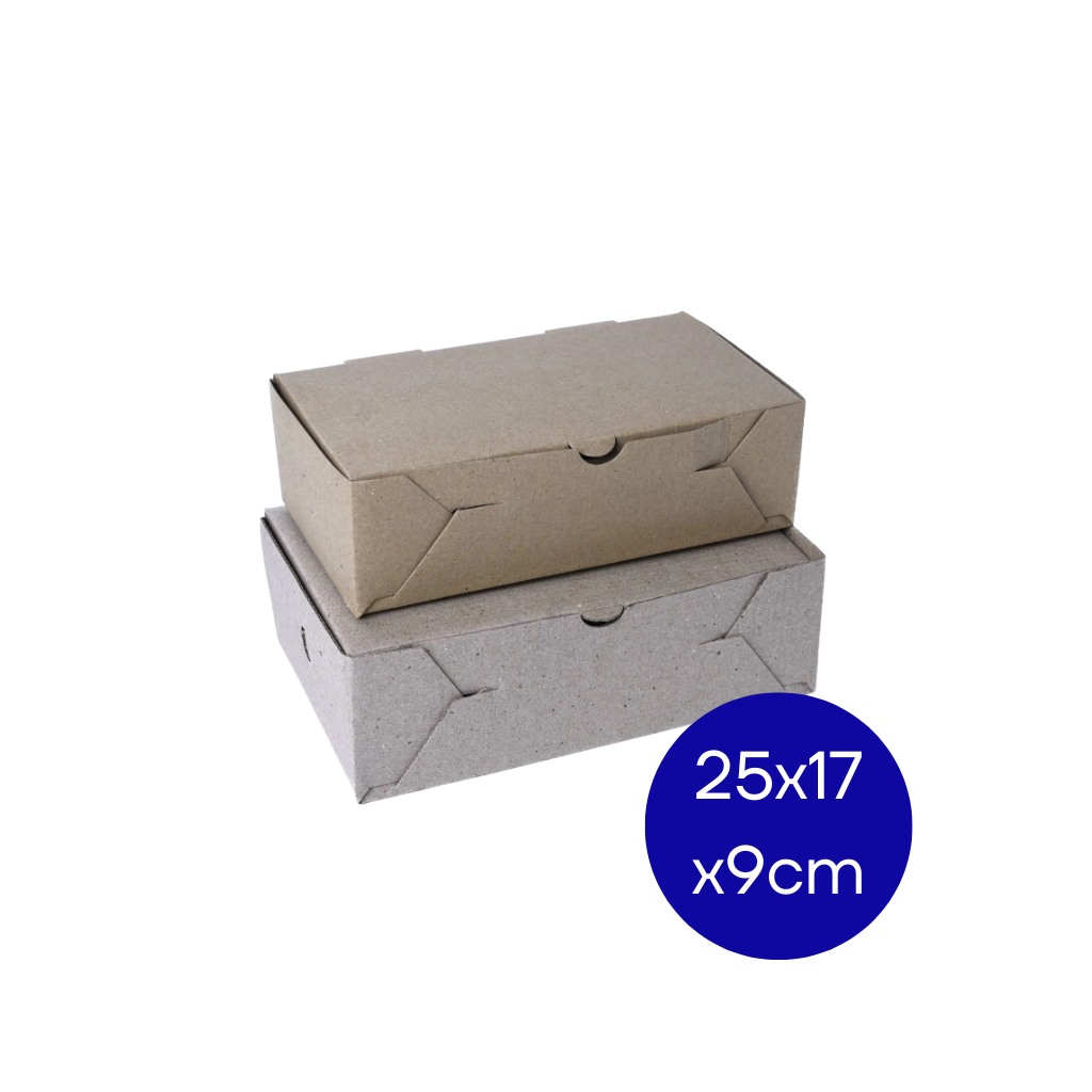 CAJA DELI MICRO 25X17X9 MEDORO PAQ X 25