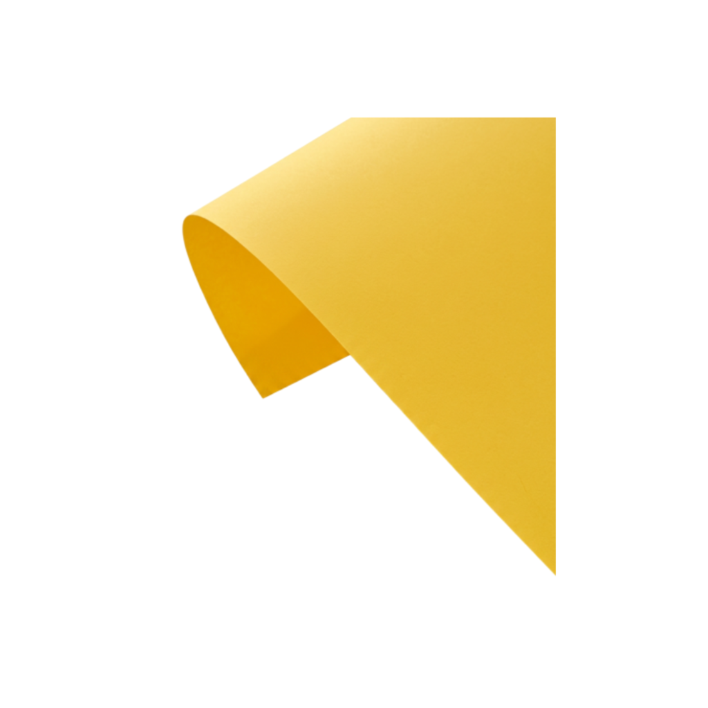PAPELES FEDRIGONI A4 X20HJS FEDRIGONI LISO 160GRS. GOLD A4 X 10HS 600676