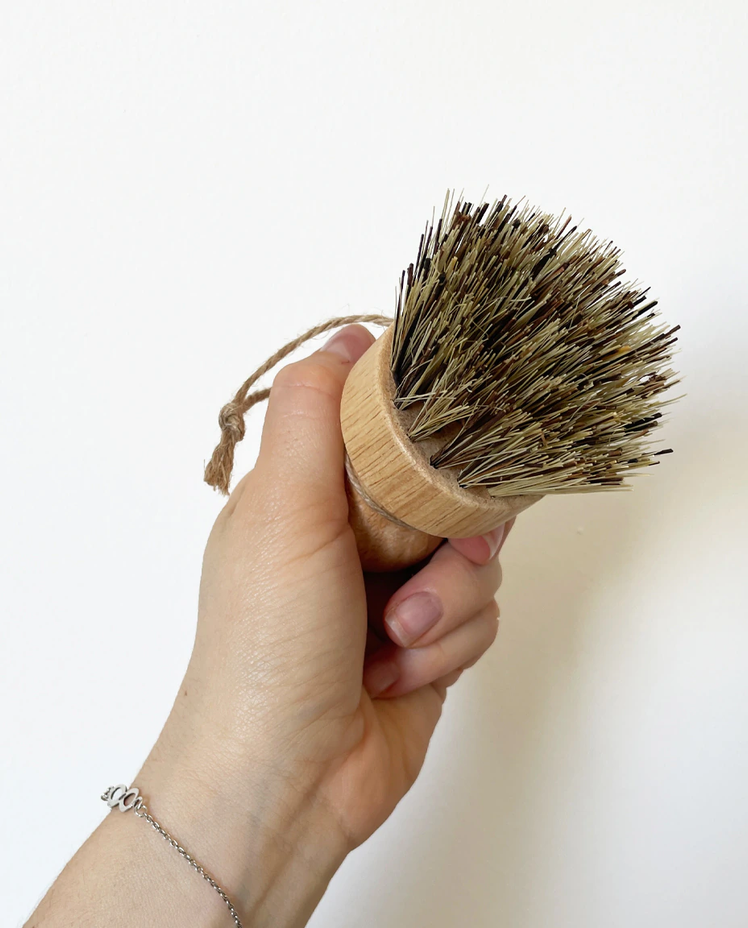 Cepillo Coco
