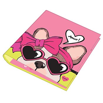 Carpeta Simones A4 2 X 40