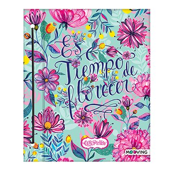 Carpeta Car Pintos Nº3 Cartone