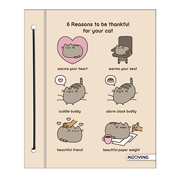 Carpeta Pusheen Nº3 2 Tapas Original