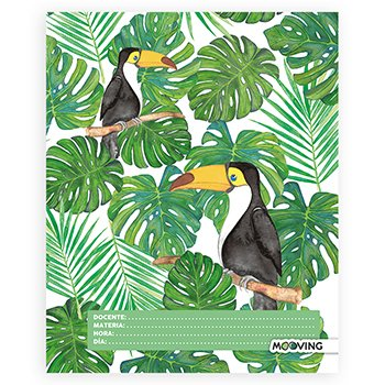Separador De Materias Tropical
