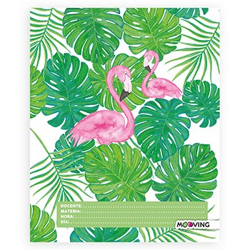 Separador De Materias Tropical