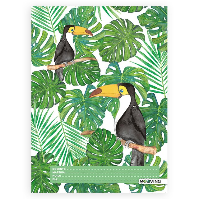 Separador De Materias Tropical A4