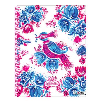 Cuaderno Car Pintos 29.7 X 80 Hjs Rayado