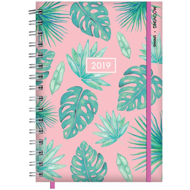 Agenda Mooving 10 X 15 Spring 2 Dias Por Pagina