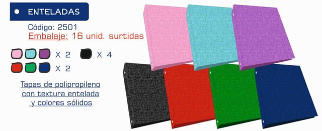 Carpeta Escolar 3 X 40 Lisa Entelado