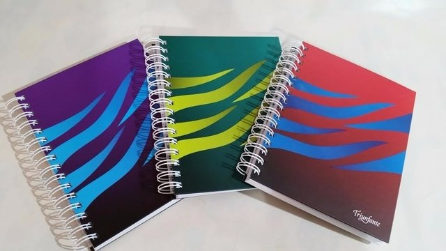 Cuaderno Triunfante A5  x 120 hojas rayado línea cebras