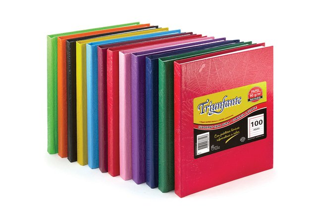 Cuaderno Triunfante tapa dura x 98 hojas cuadriculado