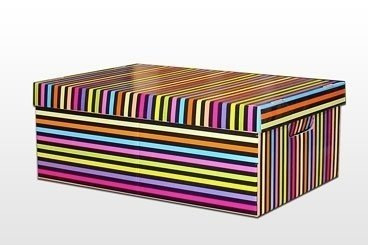 Caja Baulera Mediana Rayas Negro/Fluo Con Ventana Y Manija 39 X 30 X 18 cm
