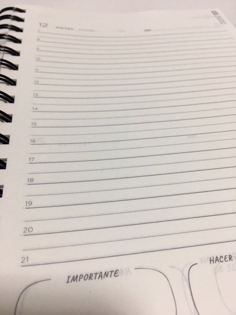 Agenda Mooving 15 X 21 Man Pagina Por Dia