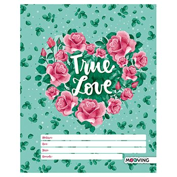 Separador De Materias escolar  Love
