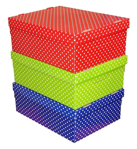 Caja Chica Pintitas 31 X 22 X 13 cm