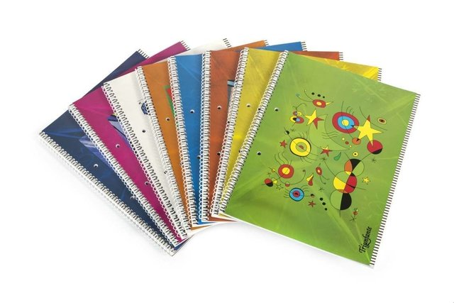 Cuaderno Triunfante A4 x 80 hojas cuadriculado línea pintores